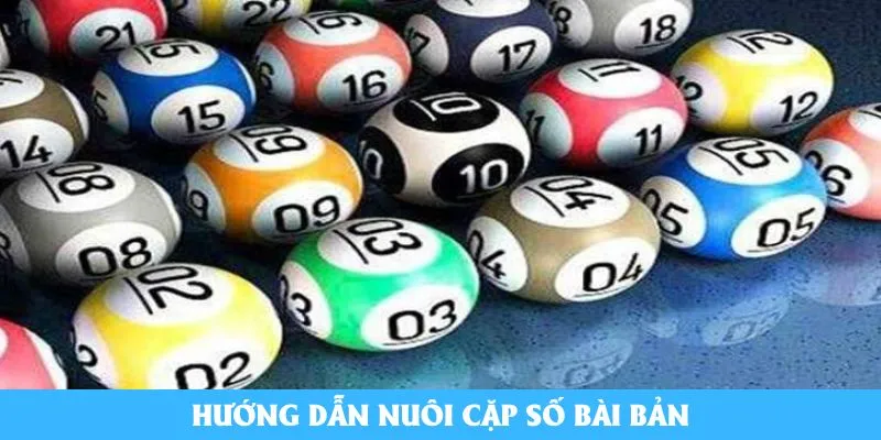 Hướng dẫn nuôi cặp số bài bản