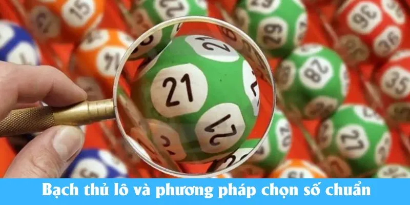 Bạch thủ lô và phương pháp chọn số chuẩn