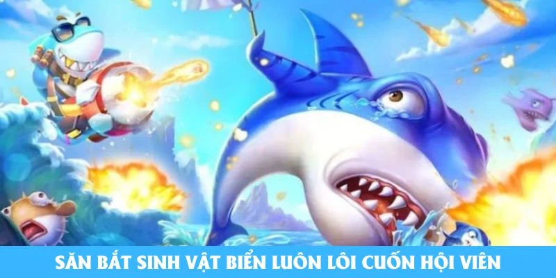 Săn bắt sinh vật biển luôn lôi cuốn hội viên