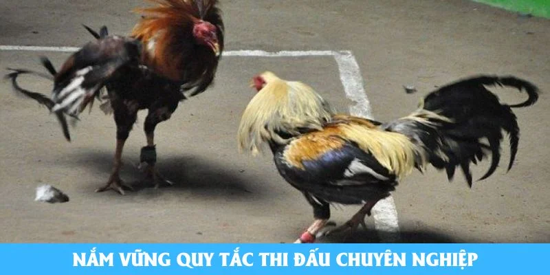 Nắm vững quy tắc thi đấu chuyên nghiệp