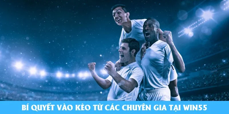 Bí quyết vào kèo từ các chuyên gia tại Win55