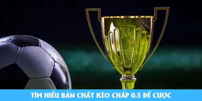 Tìm hiểu bản chất kèo chấp 0.5 để cược