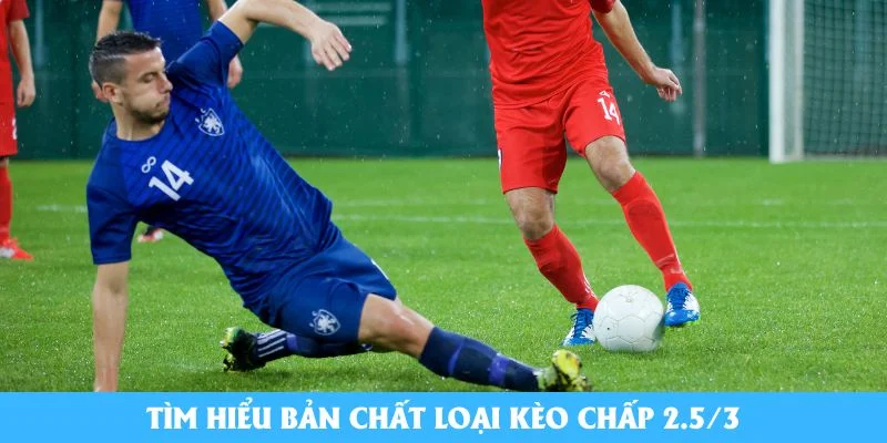 Tìm hiểu bản chất loại kèo chấp 2.5/3