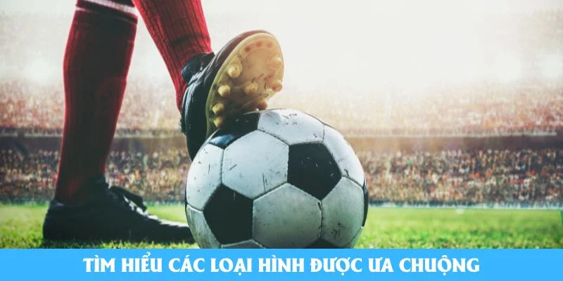 Tìm hiểu các loại hình được ưa chuộng